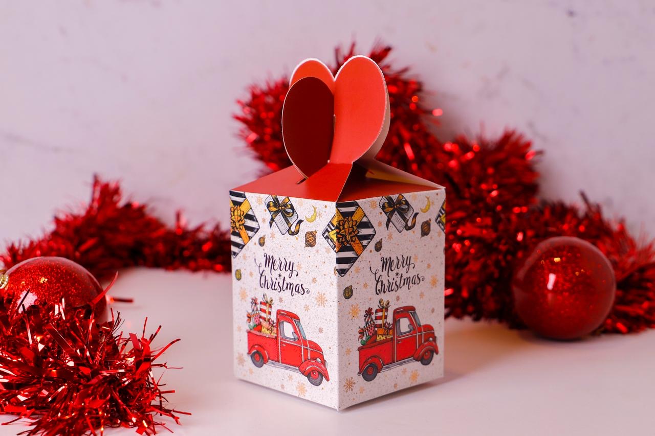 Holiday Delivery Box (12 pieces)