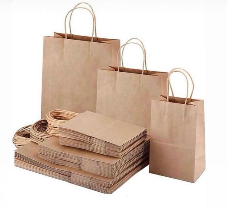 Paper Bags (12 pieces)