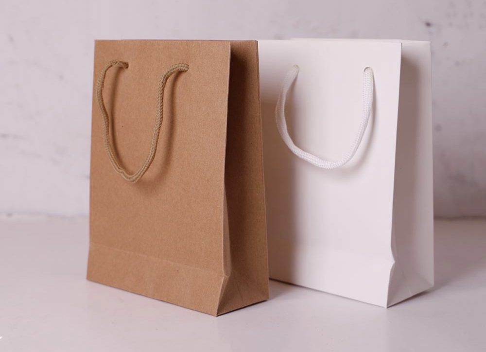 Small Carton bag (12pcs)