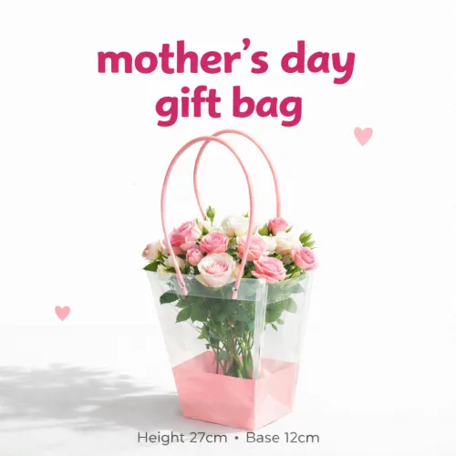 Blush pink gift bag (1pc)